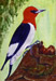 enlarged depiction in separate window