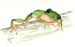 enlarged depiction in separate window